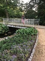 IMG 6996