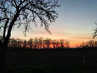 IMG 0878