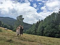 IMG 4613
