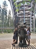IMG 8601