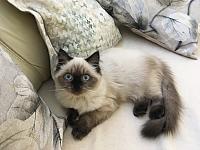IMG 5165