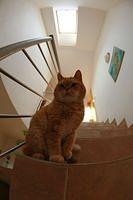 IMG_10014