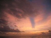 IMG_2510.JPG