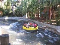 IMG_0331.JPG