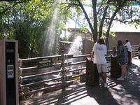 IMG_0334.JPG