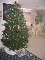 IMG_2690.JPG