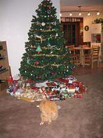 IMG_2782.JPG