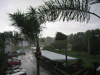 IMG_2478.JPG