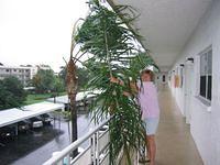 9-5-2004 IMG_2479.JPG