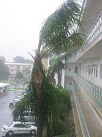 IMG_2521.JPG