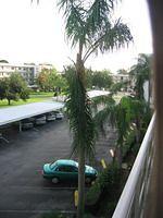 IMG_2524.JPG