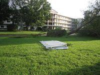 IMG_2528.JPG