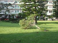 IMG_2530.JPG