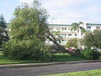IMG_2531.JPG