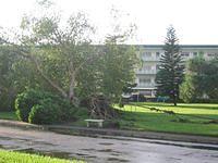 IMG_2532.JPG