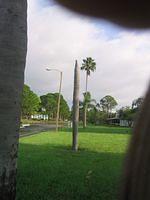 IMG_2535.JPG