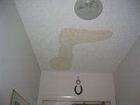 IMG_2544.JPG