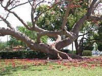 IMG_0521.JPG