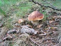 IMG_1256