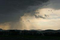 IMG_3203.jpg