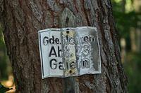 IMG_3336.jpg