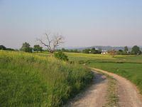 IMG_0719.JPG