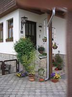 IMG_0804.JPG