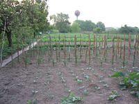 IMG_1497.JPG