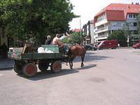 IMG_1560.JPG