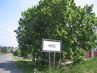 IMG_1564.JPG