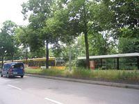 IMG_1890.JPG