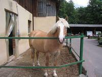 IMG_2243.JPG