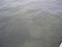 IMG_3537.JPG