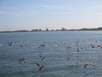 IMG_4202.JPG