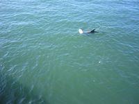 IMG_4204.JPG