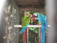 IMG_3315.JPG