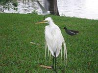 IMG_2944.JPG