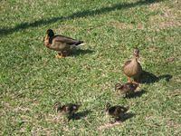 IMG_3005.JPG