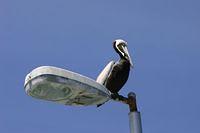 IMG_8232.JPG