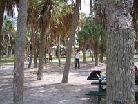 IMG_8261.JPG
