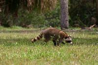 IMG_8322.JPG