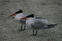 IMG_8569.JPG