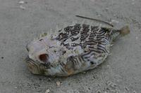 IMG_8579.JPG