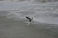 IMG_8679.JPG