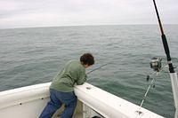 IMG_8866.JPG