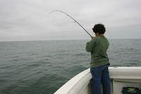 IMG_8875.JPG