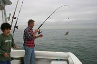 IMG_8886.JPG