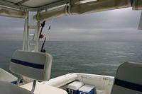 IMG_8914.JPG