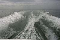 IMG_9024.JPG