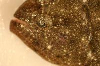 IMG_9298.JPG